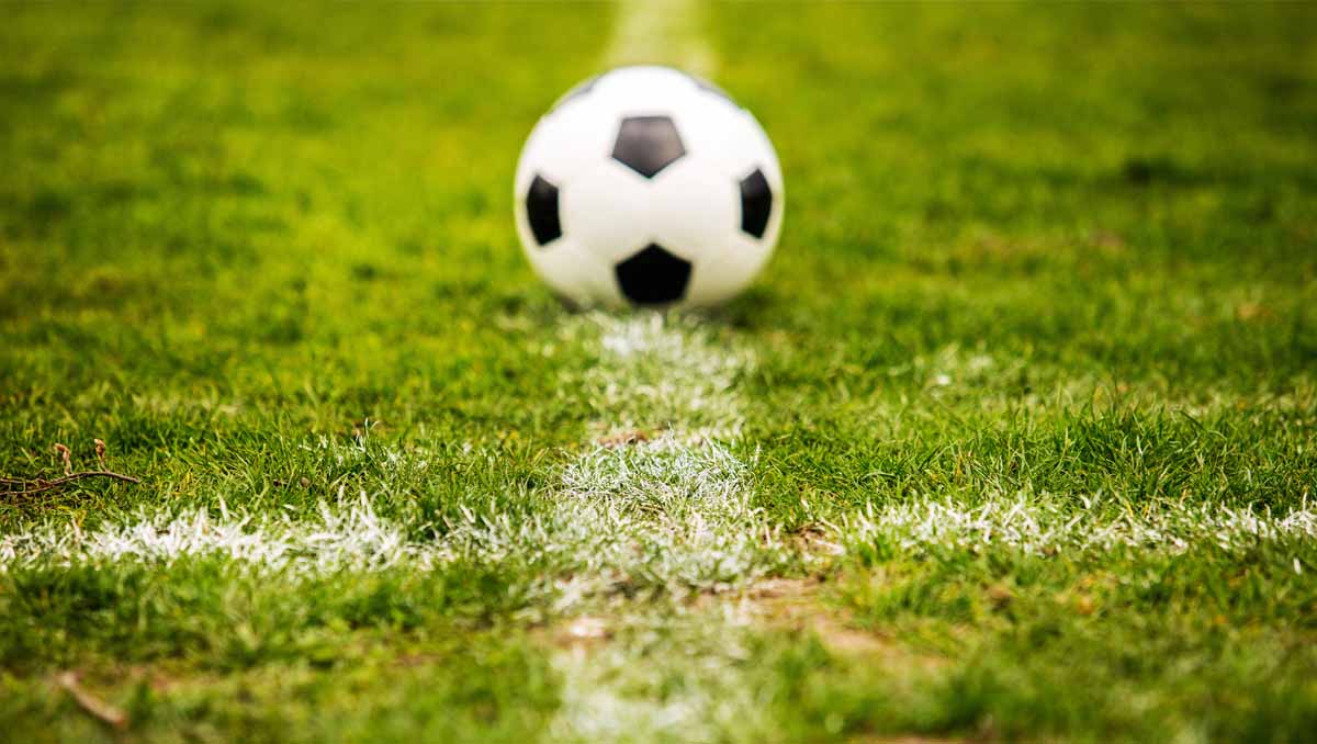 Garden Football Goal