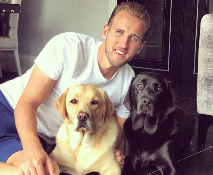 Harry Kane